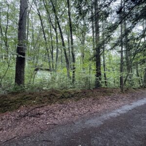 古屋付き～北軽井沢大学村別荘地〜浅間山麓の緑に囲まれた394坪の広大な土地